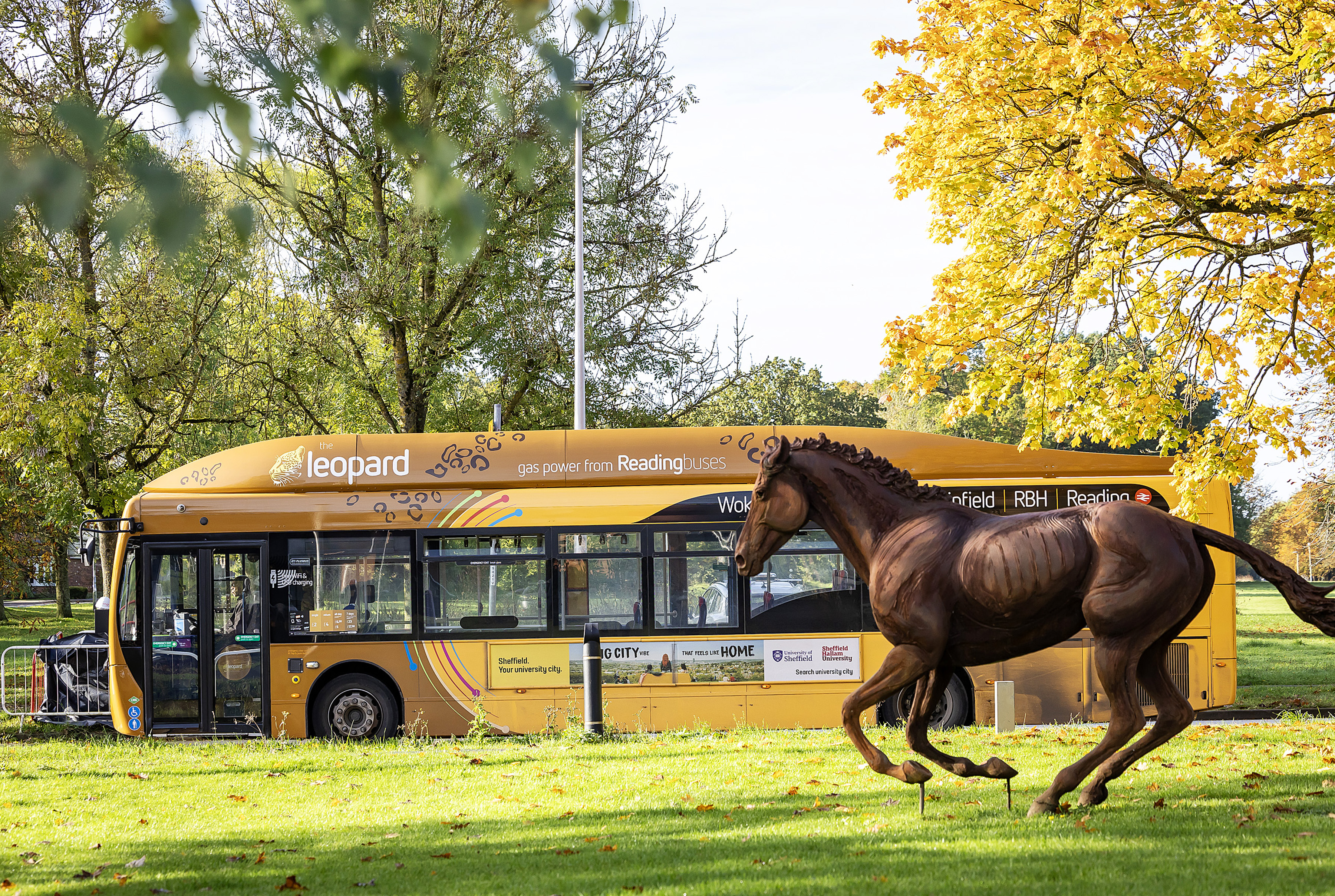 Bus Travel